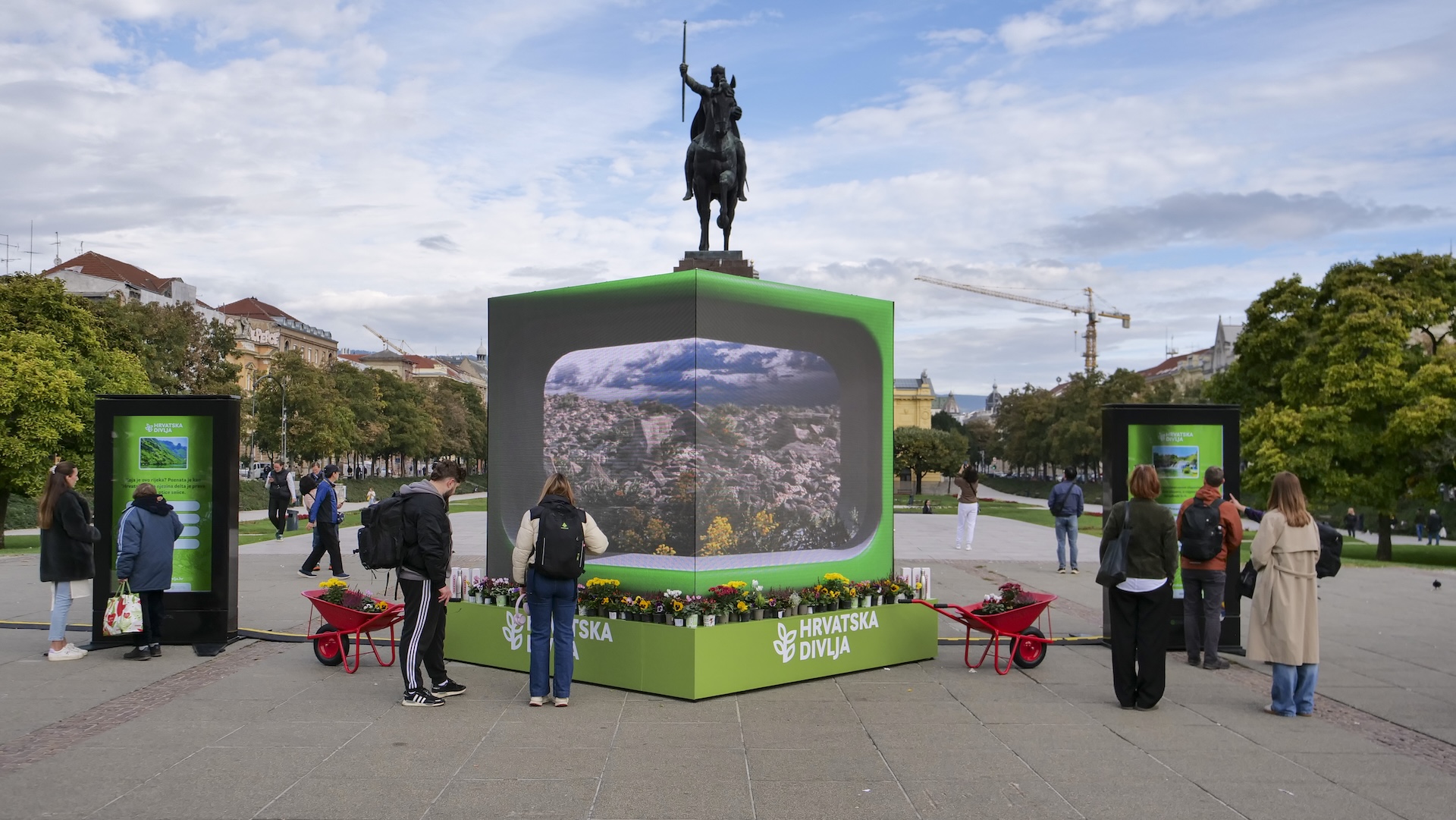 Samoborska gromotulja procvjetala u srcu Zagreba